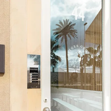 Group Ocean 시체스